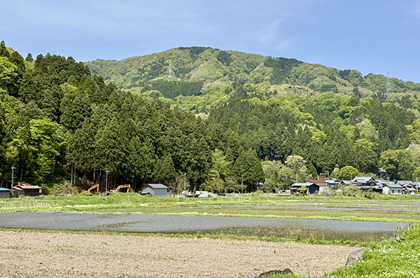 田舎の風景